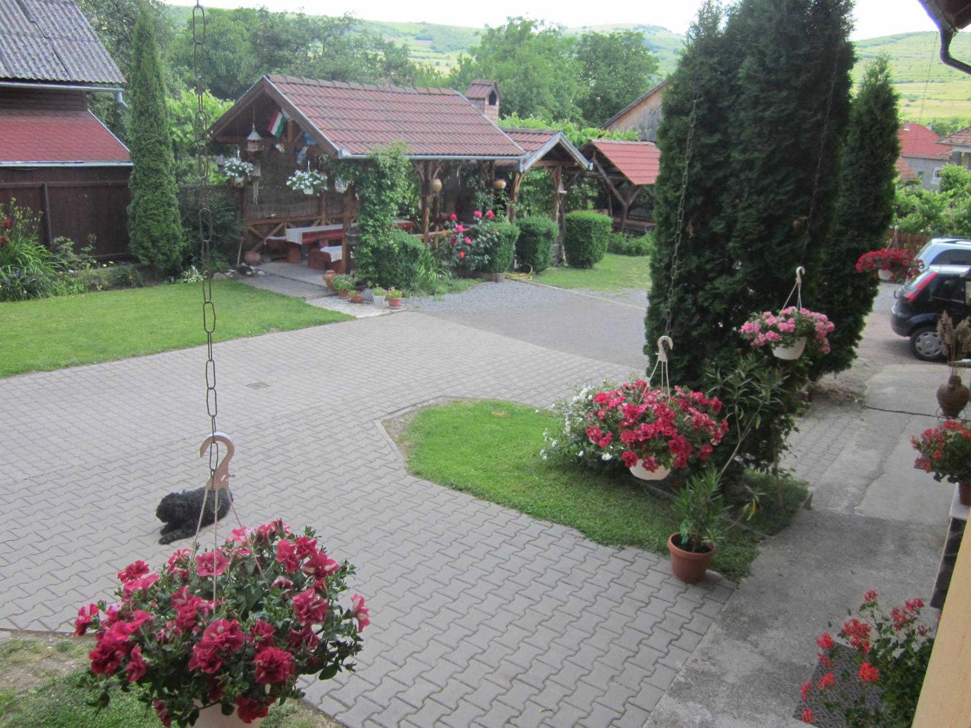 Evelyn Panzio Hotel Korond Kültér fotó
